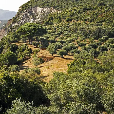 Lookout Γιαννάδες